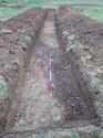 Thumbnail of <em>37: General view of trench 8</em> <br  />(37_General_view_of_trench_8.jpg)