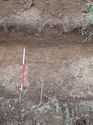 Thumbnail of <em>48: General view of ditch [1005]</em> <br  />(48_General_view_of_ditch_1005.jpg)
