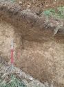 Thumbnail of <em>53: General view of ditch [203]</em> <br  />(53_General_view_of_ditch_203.jpg)