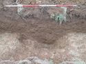 Thumbnail of <em>56: Section through ditch [903]</em> <br  />(56_Section_through_ditch_903.jpg)