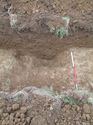 Thumbnail of <em>57: General view of ditch [903]</em> <br  />(57_General_view_of_ditch_903.jpg)