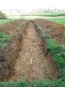 Thumbnail of <em>64: General view of trench 22</em> <br  />(64_General_view_of_trench_22.jpg)