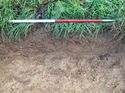 Thumbnail of <em>65: Sample section trench 22</em> <br  />(65_Sample_section_Tr_22.jpg)