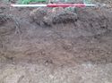 Thumbnail of <em>67: Section through ditch [2103]</em> <br  />(67_Section_through_ditch_2103.jpg)