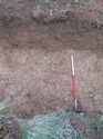 Thumbnail of <em>68: General view of ditch [2103]</em> <br  />(68_General_view_of_ditch_2103.jpg)
