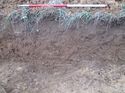 Thumbnail of <em>69: Section through ditch [2105]</em> <br  />(69_Section_through_ditch_2105.jpg)