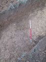 Thumbnail of <em>70: General view of ditch [2105]</em> <br  />(70_General_view_of_ditch_2105.jpg)