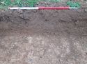 Thumbnail of <em>77: Sample section trench 20</em> <br  />(77_Sample_section_Tr_20.jpg)