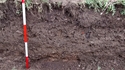 Thumbnail of View to the SE. Section through deposits by wall [100]