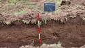 Thumbnail of View to the S. Deposits in garden