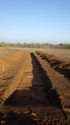 Thumbnail of Tr8 Trench shot  NB to E