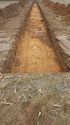 Thumbnail of Tr7 Trench shot  NB to S