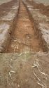 Thumbnail of Tr11 Trench shot NB to NE