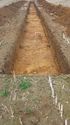 Thumbnail of Tr9 Trench shot  NB to ENE