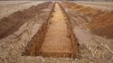 Thumbnail of Tr13 Trench shot  NB to NE