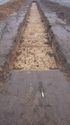 Thumbnail of Tr13 Trench shot NB to SW