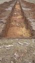 Thumbnail of Tr14 Trench shot  NB to SE