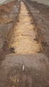 Thumbnail of Tr15 Trench shot  NB to SW