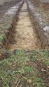 Thumbnail of Tr22 Trench shot  NB to W