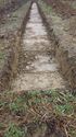 Thumbnail of Tr23 Trench shot NB to W