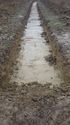 Thumbnail of Tr23 Trench shot NB to W
