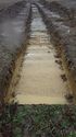 Thumbnail of Tr20 Trench shot  NB to W