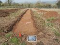 Thumbnail of View to N. TR15 Trench shot 2x1m