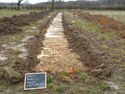 Thumbnail of View to E. TR12 Trench shot 2x1m