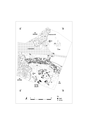 Area B: general plan of excavated area with context numbers and distribution
of objects