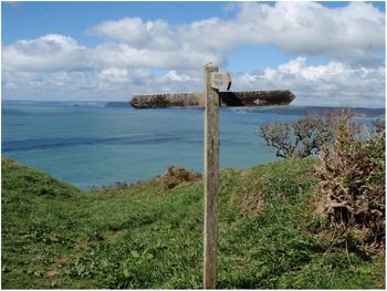 Rapid Coastal Zone Assessment: Cornwall South Coast
