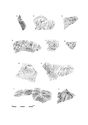 Thumbnail of Figure 9.8: decorated samian vessels (Les Martres-de-Veyre) Cat. nos 63–72.