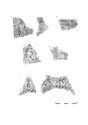 Thumbnail of Figure 9.9: decorated samian vessels (Les Martres-de-Veyre) Cat. nos 73–77.