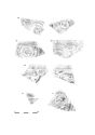 Thumbnail of Figure 9.18: decorated samian vessels (Lezoux) Cat. nos 106–111.
