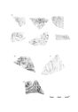Thumbnail of Figure 9.21: decorated samian vessels (Lezoux) Cat. nos 115–118.