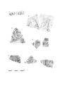 Thumbnail of Figure 9.22: decorated samian vessels (Lezoux) Cat. nos 119–123.