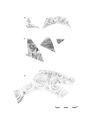 Thumbnail of Figure 9.28: decorated samian vessels (East Gaulish) Cat. nos 150–152.