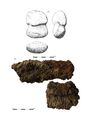 Thumbnail of Figure 11.97: small finds Cat. nos 1695–1696.