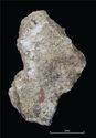 Thumbnail of Figure 14.42: painted plaster showing a possible teardrop design from hypocaust flue fill 18864.