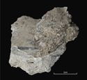 Thumbnail of Figure 14.43: fragment of painted wall plaster from mortar spread 18438 showing evidence of replastering.