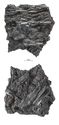 Thumbnail of Figure 15.39: compacted charred vegetable matter from layer 18997, Group 22461.