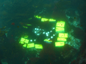 Thumbnail of Steatite balls and engineering bricks place on the seabed