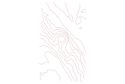 Thumbnail of The Ancient Saar Project GIS - Contours Polyline