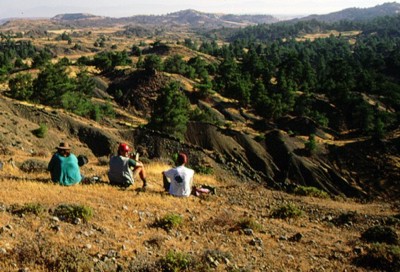 Figure 2. Looking along survey transect 519.5 in the pillow lavas southwest of Politiko, 1995. Photograph: Megan Mebberson