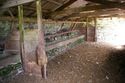 Thumbnail of The troughs and partitions in Barn 3; from the south-west corner