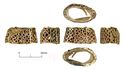 Thumbnail of Catalogue no. 159. Hilt-collar in gold, high form, with garnet cloisonné 