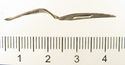Thumbnail of Catalogue 613.  Reeded strip in silver-gilt, 8mm wide. K1156 and 1680 joined. Side. Not scaled. 