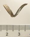 Thumbnail of Catalogue 613.  Reeded strip in silver-gilt, 8mm wide. K1173 and 1494 joined. Side. Not scaled. 