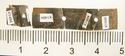 Thumbnail of Catalogue 613.  Reeded strip in silver-gilt, 8mm wide.  K1494 and K1506 joined. Back. Not scaled. 