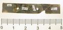 Thumbnail of Catalogue 613.  Reeded strip in silver-gilt, 8mm wide. K1494 and K1836 joined. Back. Not scaled. 