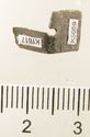 Thumbnail of Catalogue 613.  Reeded strip in silver-gilt, 8mm wide. K1617 and K1824 joined. Back. Not scaled. 